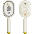 Electric Spray Air Cushions Massage Comb 3 in 1 Self Cleaning Steam Essential Oil Brush Rechargeable Spray Scalp Massager Combs